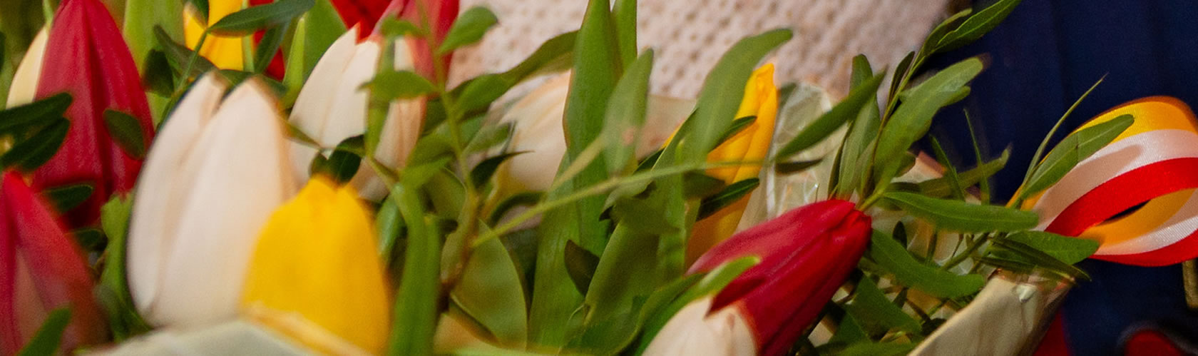 Tulpen in rood-wit-geel